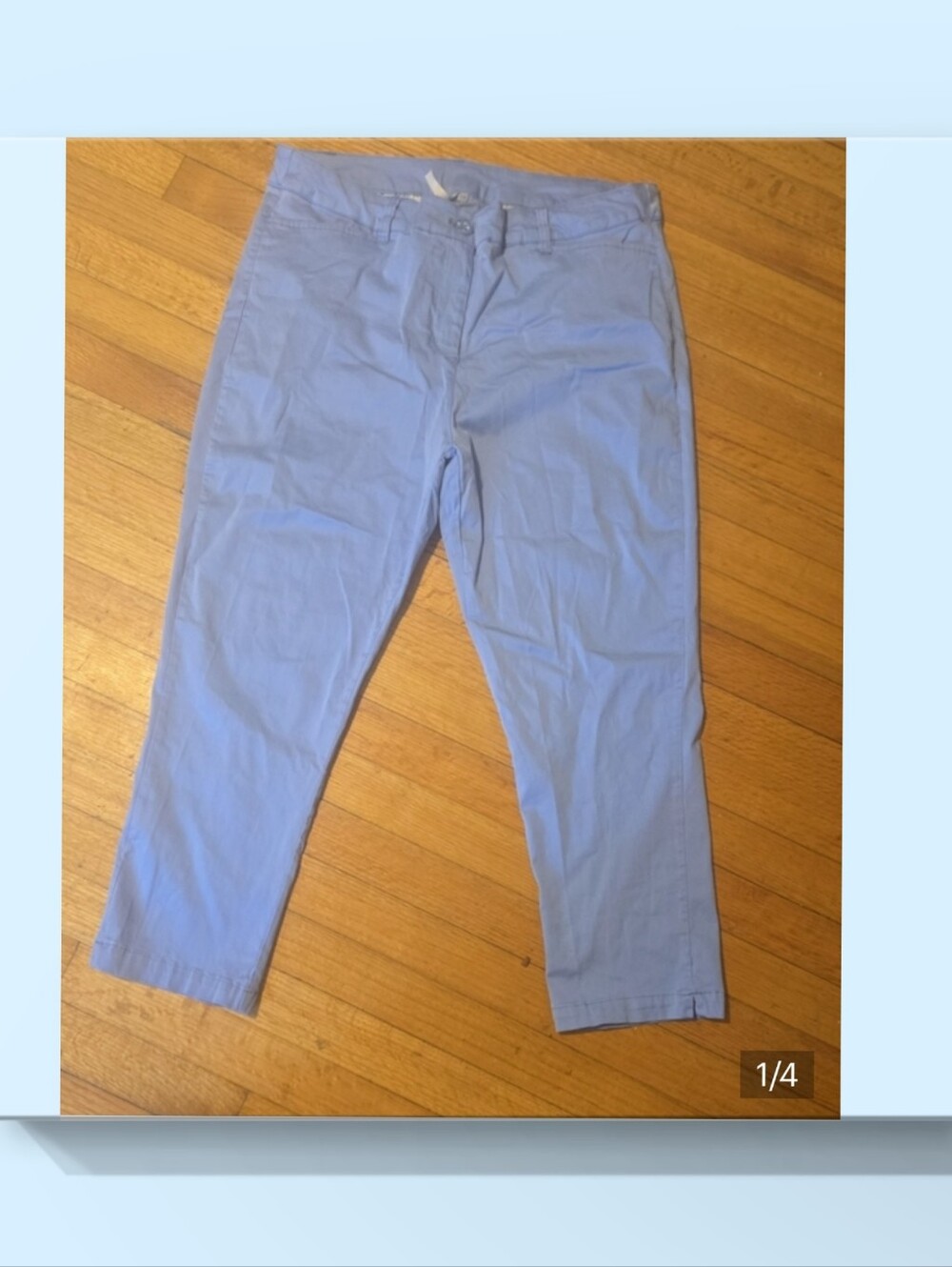 Lulu-B Pastel Blue Ankle Pants Size 16